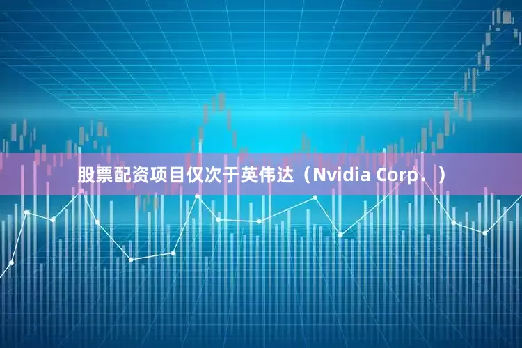 股票配资项目仅次于英伟达（Nvidia Corp．）